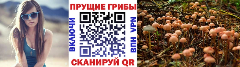 Галлюциногенные грибы MAGIC MUSHROOMS  Купить где  Пионерский 